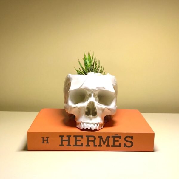 Scarface planter - Image 5