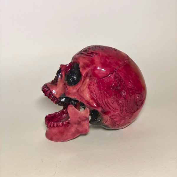 Red Shark Skull - Image 4