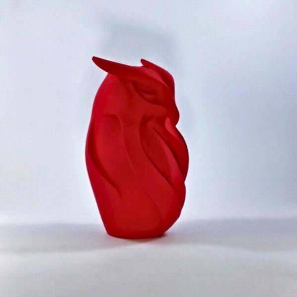 Olu - Image 7