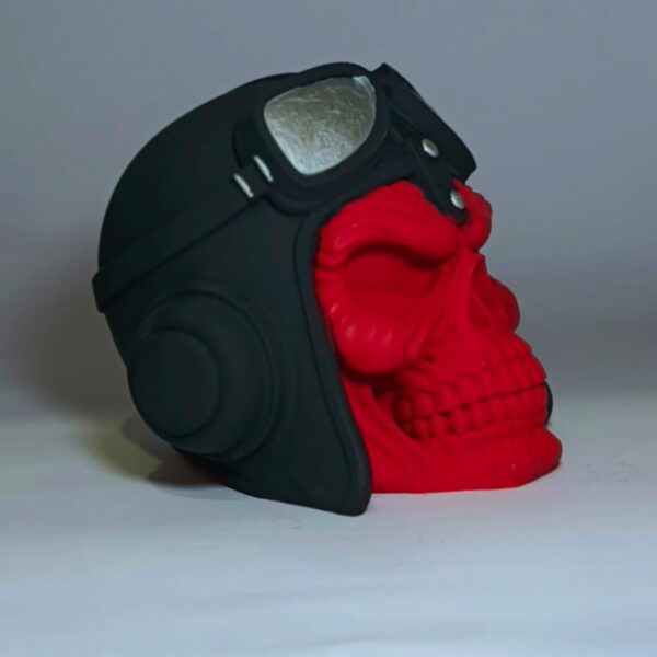Pablo - Image 4